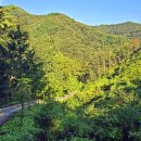 자연-이미지 이미지