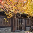 카페 서로서로 | [베이징/DAY 3-1] 난뤄구샹, 스차하이 산책하기, 소품샵 및 카페, 디저트 탐방 후기