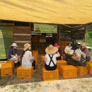 자생초농장 이미지