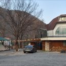단양연화 이미지