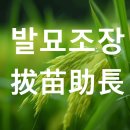 발묘조장(拔苗助長) 이미지
