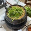 경열로 | 광주오리골목 영미오리탕 광주현지인맛집 후기