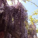 김해중학교 이미지