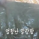명품옛날시골통닭 이미지