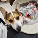 리베리의원 화성병점 이미지