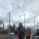 모모애견미용실 이미지