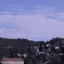 세례농장 이미지