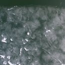 오리천국 이미지