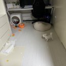 침대 프레임 사고싶음