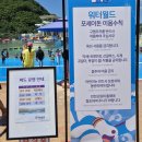 워시월드 | 정선 하이원 워터월드 준비물 주차장 성수기 할인 주말 방문 후기