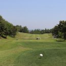 떼제베CC(대중제) 이미지