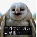 부엉PC 이미지