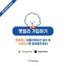 플레이펫컴퍼니