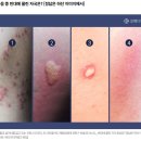 마케팅하이랜즈 | 인도네시아 마나도 솔직한 자유여행후기