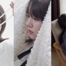 에리카