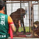 광화문농장 이미지