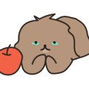 장수해물칼국수 이미지