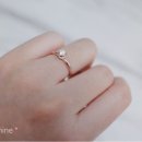 윈플레르 이미지