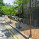 중앙동151 이미지