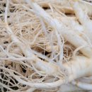 풍기인삼삼계탕 이미지