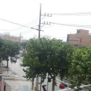 경기기계태양광발전소 이미지