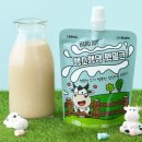 펫조이 | 펫생각 하루조이 펫밀크 강아지 우유 찐후기