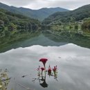 인보농장 이미지