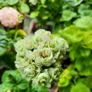 더숲엔젤 이미지