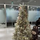 더바디2.0의원 | 광화문 써밋의원 바디인모드 팔뚝 후기｜결혼식 전 팔뚝살 정리 내돈내산