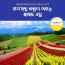 무지개여행사