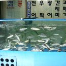 돈암사거리약국 이미지