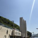 가평오즈펫리조트 | [가평] 오즈펫리조트 애견동반 펜션