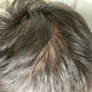 남종진다모의원 이미지