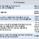 K.에스테틱 네이버블로그