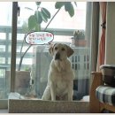 웰빙간식 이미지