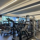 에스바디짐 이미지