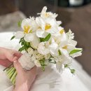 리소스냅