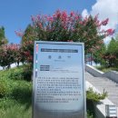 충혼탑(영천시) | 영천가볼만한곳 순국선열 충혼탑