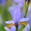 용인대수지태권도장 이미지