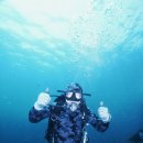 제주바당 이미지