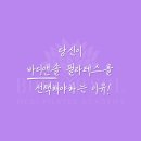 디앤솔 이미지