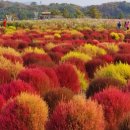 고석정주유소 이미지