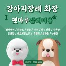 정성솔루션