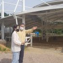 영광승마장 이미지