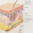 대웅프라자약국 이미지