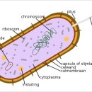 준 휘트니스 이미지