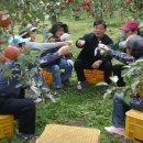 수필농장 이미지