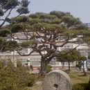 갈산중고등학교