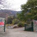 김용대농장 이미지