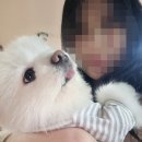 광명푸줏간